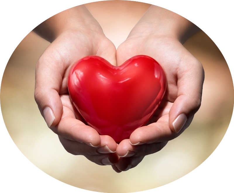 Hands holding a red heart_emotional support offered by Mitchells Miracles_Neuroblastoma childrens cancer charity for the UKHands holding a red heart_emotional support offered_Neuroblastoma childrens cancer charity for the UK
