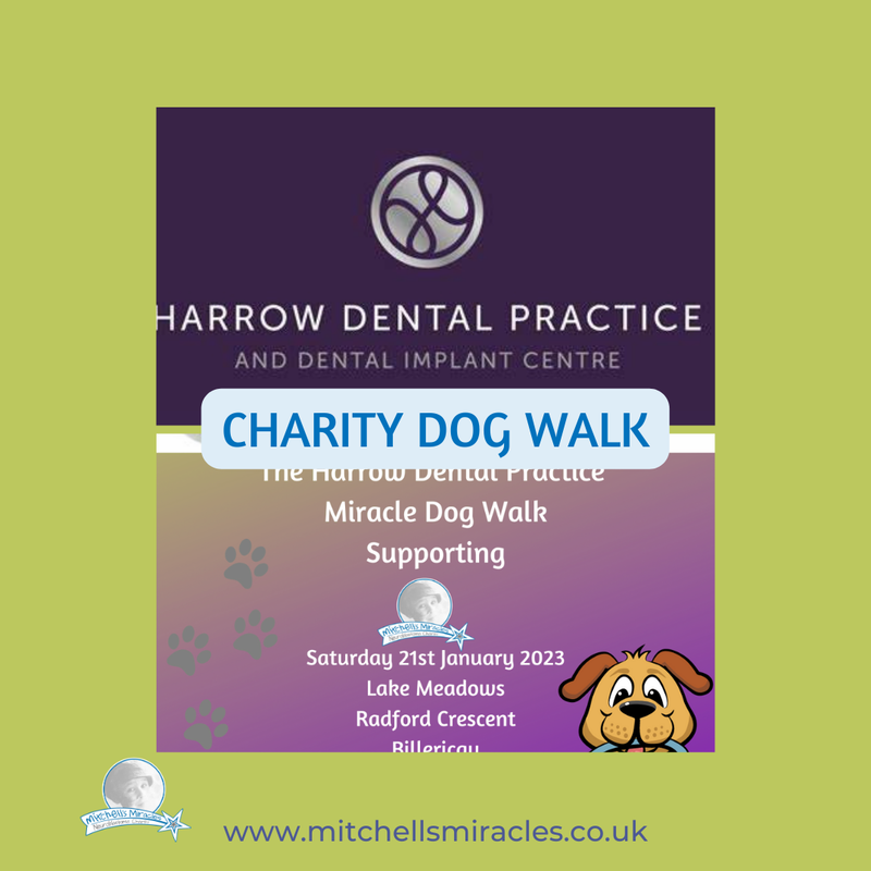 Fundraisers 2023 for Mitchells Miracles Charity, Harrow Dental Practice do a charity dog walk